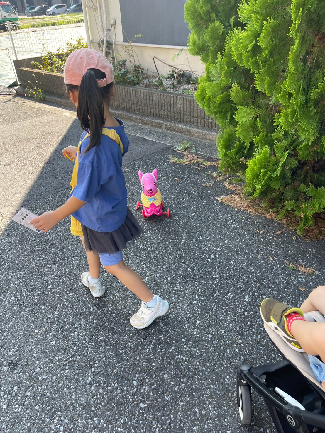 ピンクのおもちゃを引きながらお散歩をするお子さま